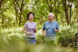 news-portal-article-layout8